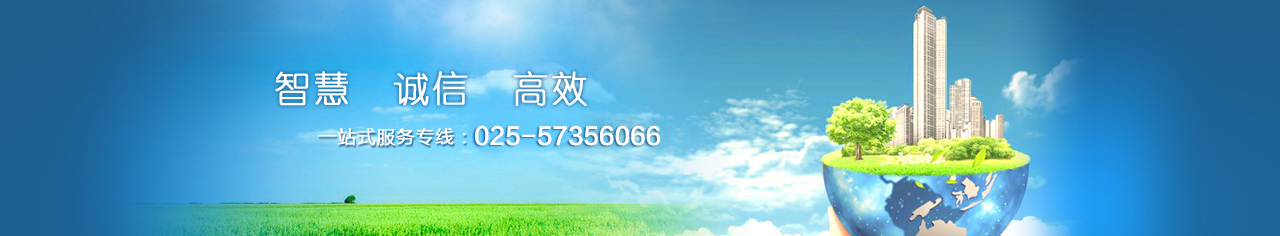 概況