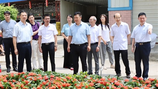 自治區政協(xié)常委、梧州市政協(xié)主席黃振饒蒞臨百裕集團走訪(fǎng)調研